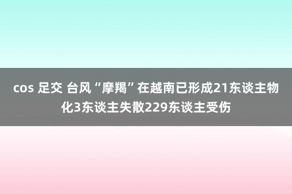 cos 足交 台风“摩羯”在越南已形成21东谈主物化3东谈主失散229东谈主受伤