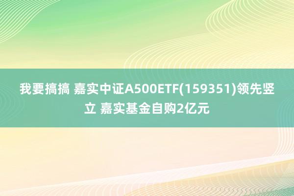 我要搞搞 嘉实中证A500ETF(159351)领先竖立 嘉实基金自购2亿元