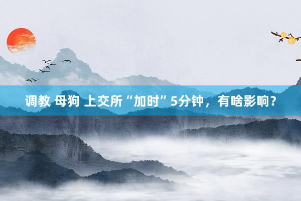调教 母狗 上交所“加时”5分钟，有啥影响？