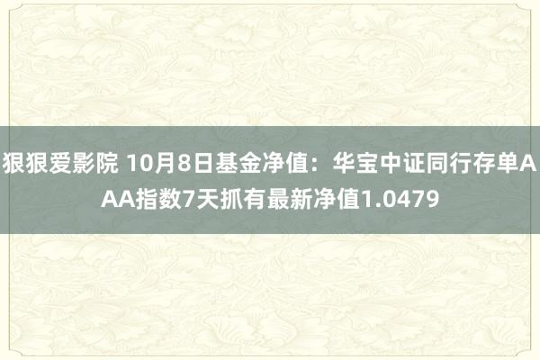 狠狠爱影院 10月8日基金净值：华宝中证同行存单AAA指数7天抓有最新净值1.0479