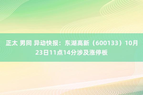 正太 男同 异动快报：东湖高新（600133）10月23日11点14分涉及涨停板