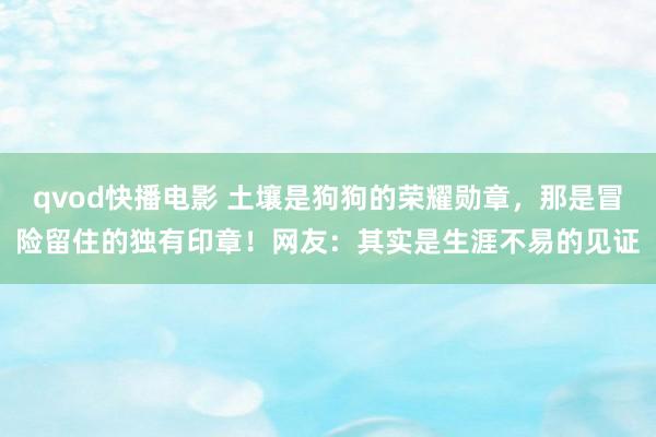 qvod快播电影 土壤是狗狗的荣耀勋章，那是冒险留住的独有印章！网友：其实是生涯不易的见证