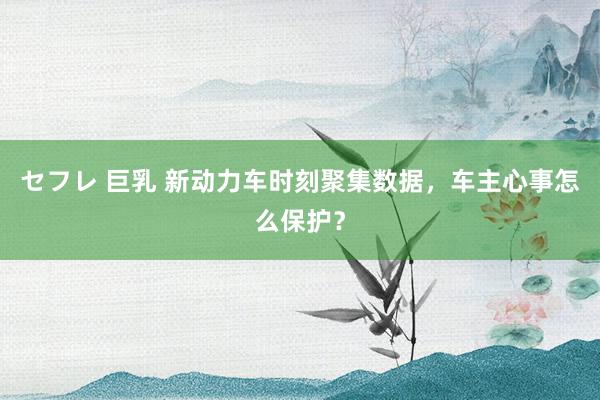 セフレ 巨乳 新动力车时刻聚集数据，车主心事怎么保护？