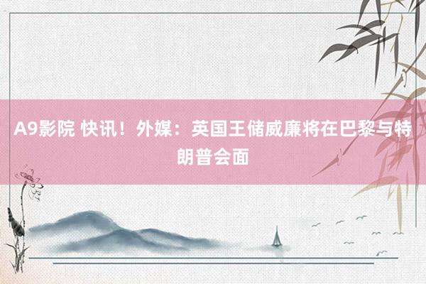 A9影院 快讯！外媒：英国王储威廉将在巴黎与特朗普会面