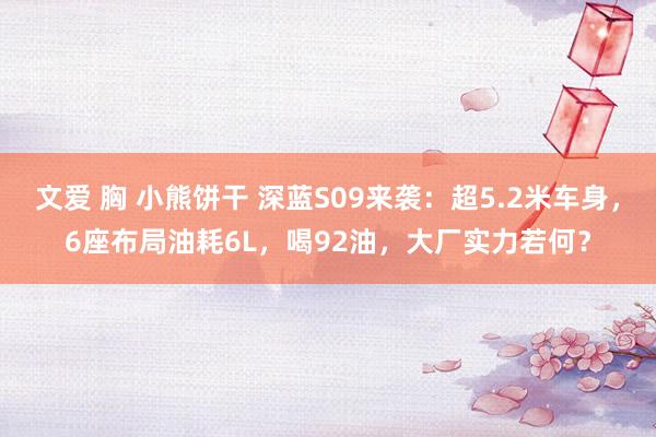 文爱 胸 小熊饼干 深蓝S09来袭：超5.2米车身，6座布局油耗6L，喝92油，大厂实力若何？