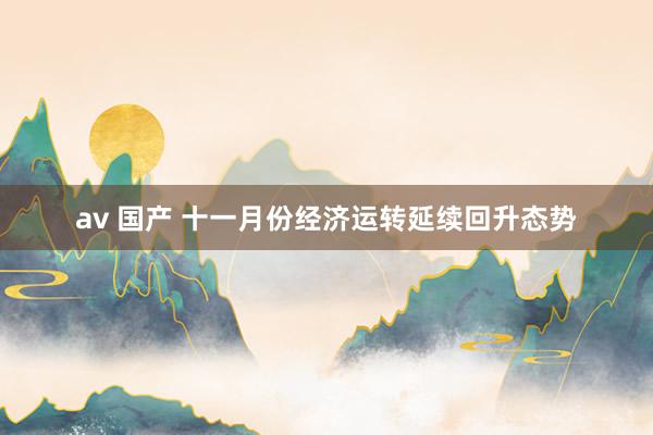 av 国产 十一月份经济运转延续回升态势