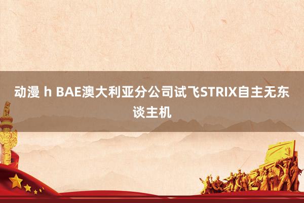动漫 h BAE澳大利亚分公司试飞STRIX自主无东谈主机