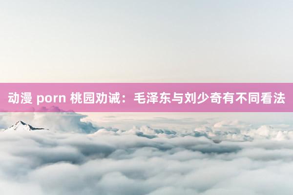 动漫 porn 桃园劝诫：毛泽东与刘少奇有不同看法