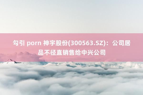勾引 porn 神宇股份(300563.SZ)：公司居品不径直销售给中兴公司