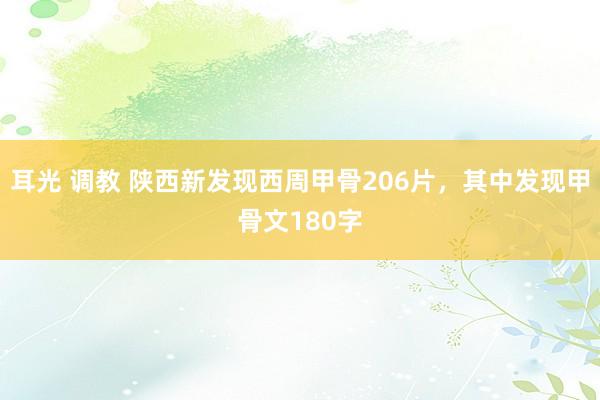 耳光 调教 陕西新发现西周甲骨206片，其中发现甲骨文180字