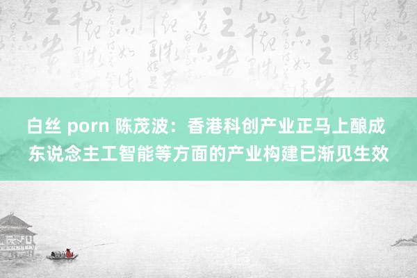 白丝 porn 陈茂波：香港科创产业正马上酿成 东说念主工智能等方面的产业构建已渐见生效