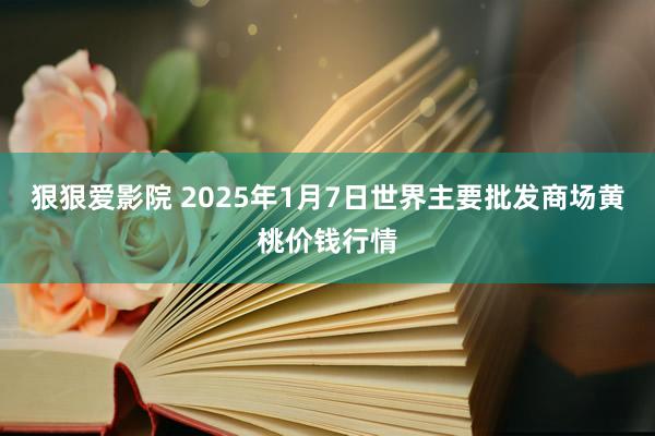 狠狠爱影院 2025年1月7日世界主要批发商场黄桃价钱行情