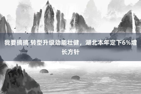 我要搞搞 转型升级动能壮健，湖北本年定下6%增长方针