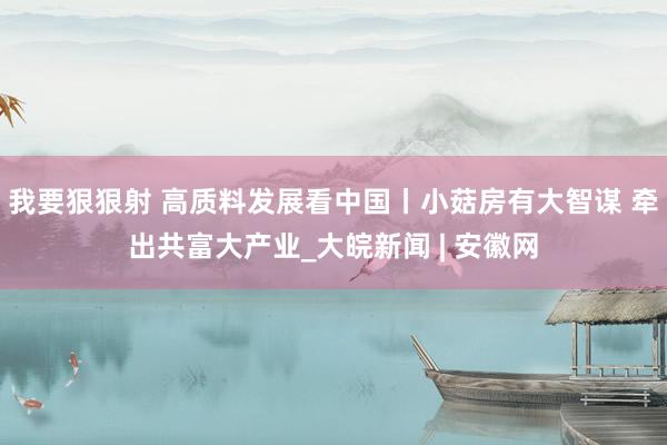 我要狠狠射 高质料发展看中国丨小菇房有大智谋 牵出共富大产业_大皖新闻 | 安徽网