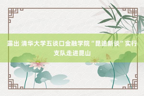 露出 清华大学五谈口金融学院“昆途新谈”实行支队走进昆山