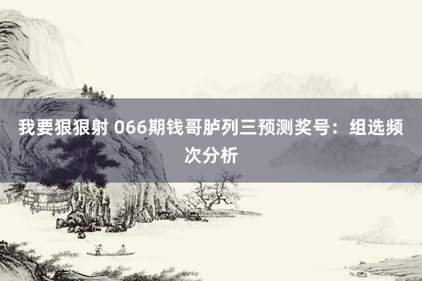 我要狠狠射 066期钱哥胪列三预测奖号：组选频次分析