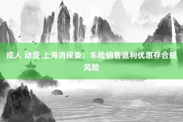 成人 动漫 上海消保委：车险销售返利优惠存合规风险