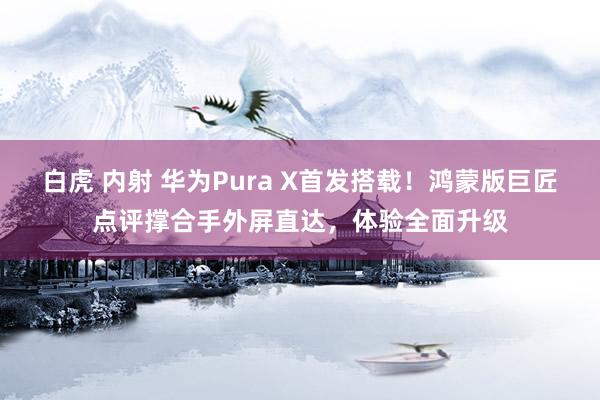 白虎 内射 华为Pura X首发搭载！鸿蒙版巨匠点评撑合手外屏直达，体验全面升级