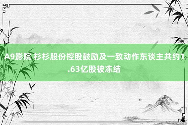 A9影院 杉杉股份控股鼓励及一致动作东谈主共约1.63亿股被冻结