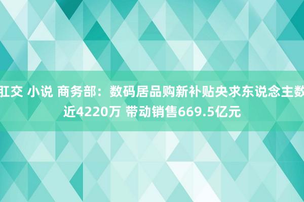 肛交 小说 商务部：数码居品购新补贴央求东说念主数近4220万 带动销售669.5亿元