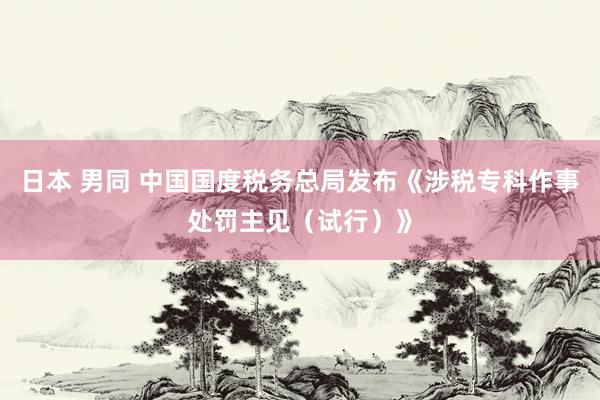 日本 男同 中国国度税务总局发布《涉税专科作事处罚主见（试行）》