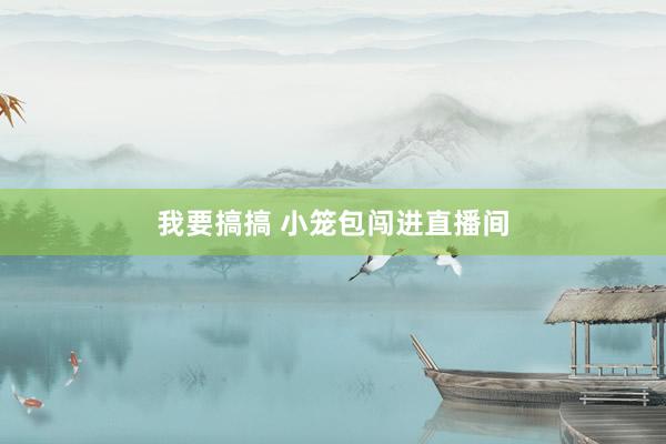 我要搞搞 小笼包闯进直播间