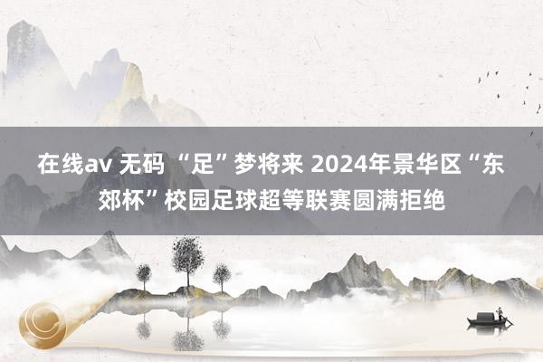 在线av 无码 “足”梦将来 2024年景华区“东郊杯”校园足球超等联赛圆满拒绝