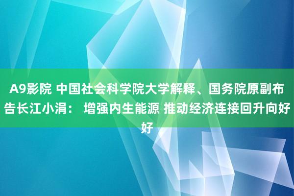 A9影院 中国社会科学院大学解释、国务院原副布告长江小涓： 增强内生能源 推动经济连接回升向好