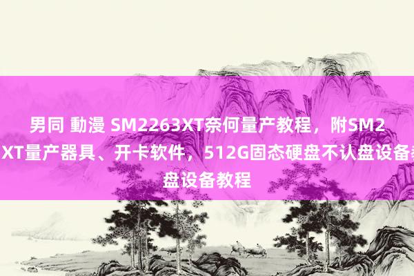 男同 動漫 SM2263XT奈何量产教程，附SM2263XT量产器具、开卡软件，512G固态硬盘不认盘设备教程