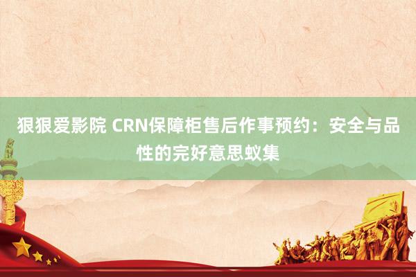 狠狠爱影院 CRN保障柜售后作事预约：安全与品性的完好意思蚁集