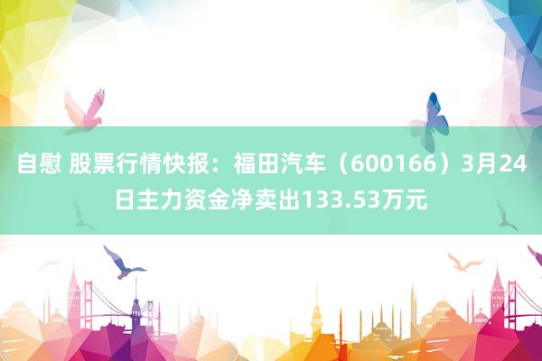 自慰 股票行情快报：福田汽车（600166）3月24日主力资金净卖出133.53万元