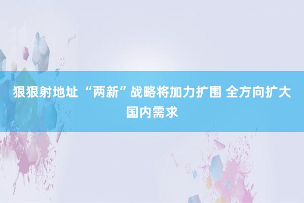 狠狠射地址 “两新”战略将加力扩围 全方向扩大国内需求