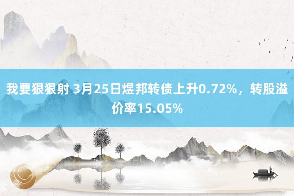 我要狠狠射 3月25日煜邦转债上升0.72%，转股溢价率15.05%
