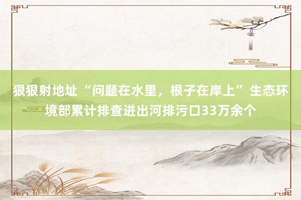 狠狠射地址 “问题在水里，根子在岸上” 生态环境部累计排查进出河排污口33万余个