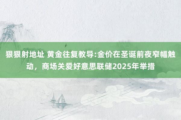 狠狠射地址 黄金往复教导:金价在圣诞前夜窄幅触动，商场关爱好意思联储2025年举措