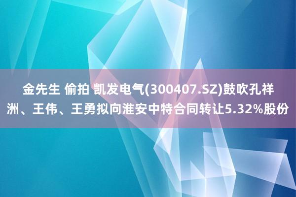 金先生 偷拍 凯发电气(300407.SZ)鼓吹孔祥洲、王伟、王勇拟向淮安中特合同转让5.32%股份