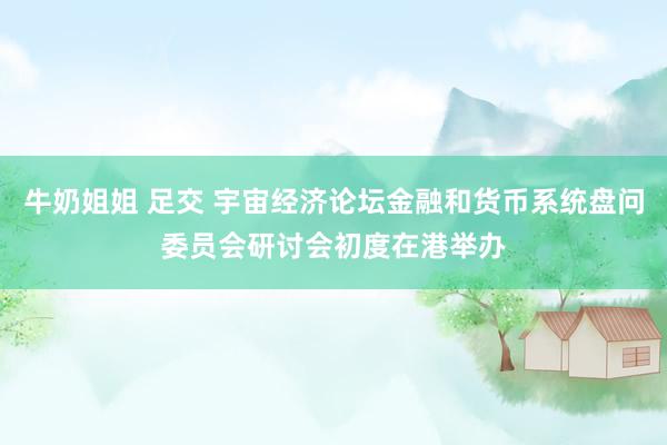 牛奶姐姐 足交 宇宙经济论坛金融和货币系统盘问委员会研讨会初度在港举办
