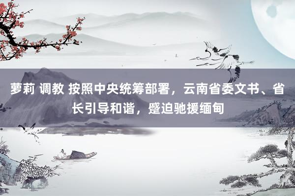 萝莉 调教 按照中央统筹部署，云南省委文书、省长引导和谐，蹙迫驰援缅甸