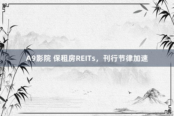 A9影院 保租房REITs，刊行节律加速