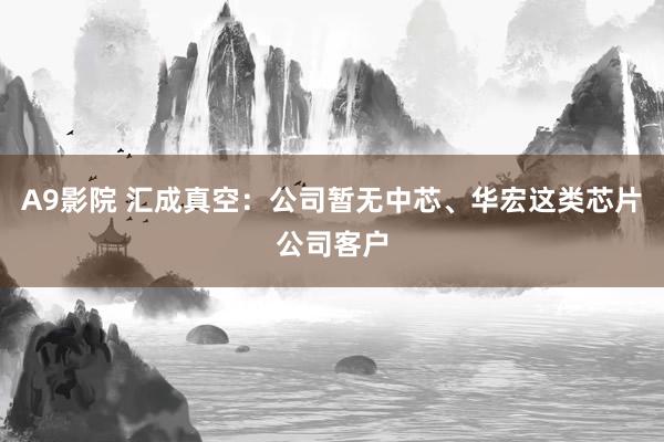 A9影院 汇成真空：公司暂无中芯、华宏这类芯片公司客户