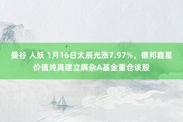 曼谷 人妖 1月16日太辰光涨7.97%，德邦鑫星价值纯真建立羼杂A基金重仓该股