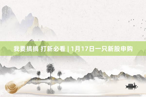 我要搞搞 打新必看 | 1月17日一只新股申购