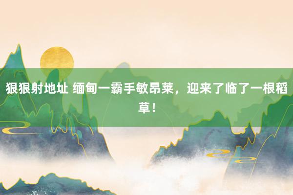 狠狠射地址 缅甸一霸手敏昂莱，迎来了临了一根稻草！