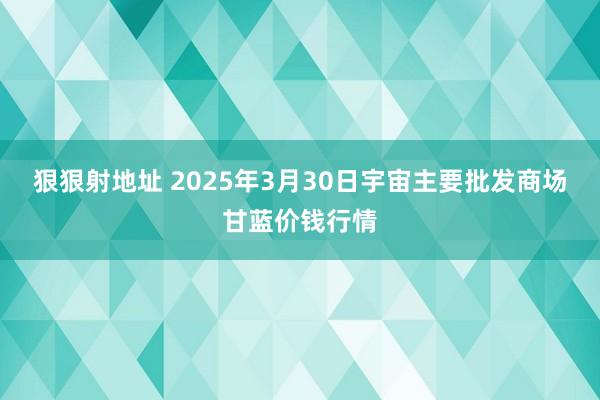 狠狠射地址 2025年3月30日宇宙主要批发商场甘蓝价钱行情