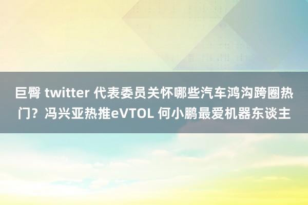 巨臀 twitter 代表委员关怀哪些汽车鸿沟跨圈热门？冯兴亚热推eVTOL 何小鹏最爱机器东谈主