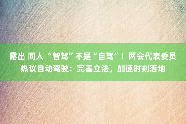 露出 同人 “智驾”不是“自驾”！两会代表委员热议自动驾驶：完善立法，加速时刻落地