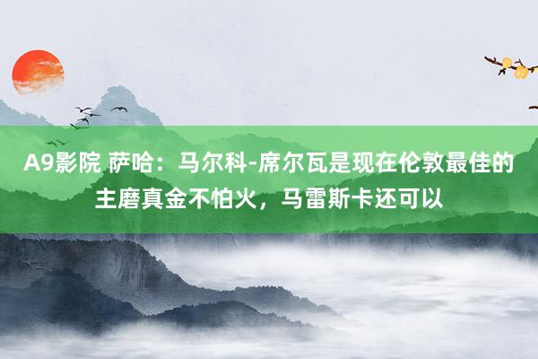 A9影院 萨哈：马尔科-席尔瓦是现在伦敦最佳的主磨真金不怕火，马雷斯卡还可以