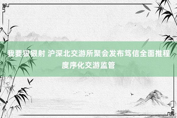我要狠狠射 沪深北交游所聚会发布笃信全面推程度序化交游监管