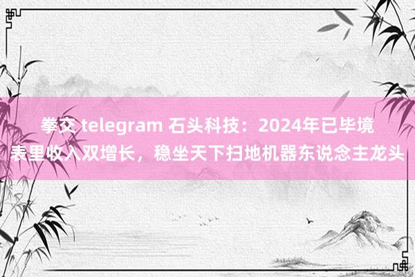 拳交 telegram 石头科技：2024年已毕境表里收入双增长，稳坐天下扫地机器东说念主龙头