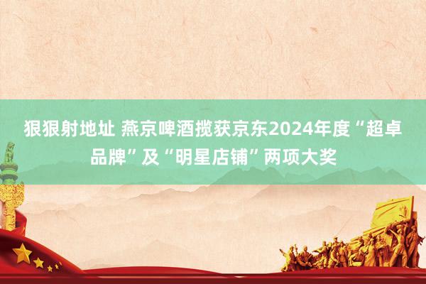 狠狠射地址 燕京啤酒揽获京东2024年度“超卓品牌”及“明星店铺”两项大奖